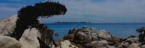 TOUR ESCURSIONI E VIAGGI